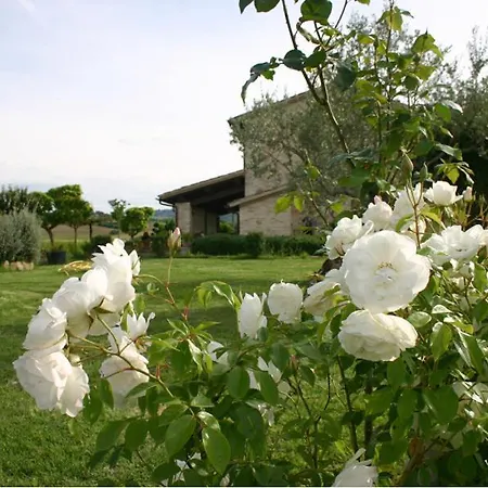 La Tana Del Lupo Farm stay *