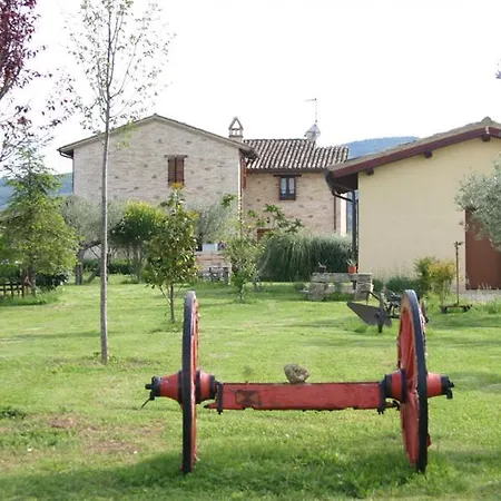 La Tana Del Lupo